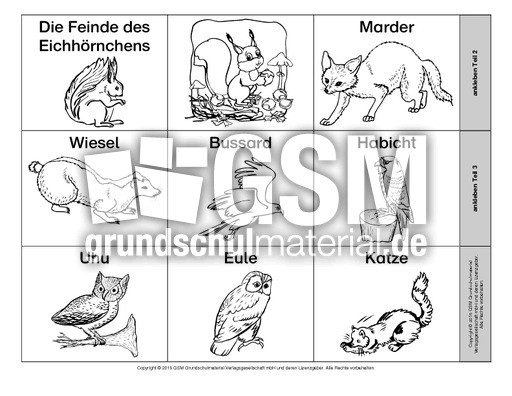 Leporello-Eichhörnchen-Feinde.pdf